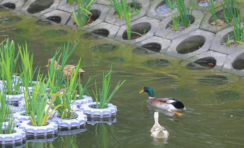沽西浜.jpg